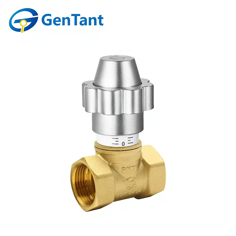 চৌম্বকীয় লকযোগ্য প্রবাহ নিয়ন্ত্রণ গ্লোব ভালভ